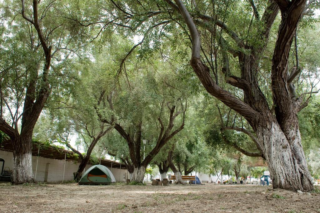Camping Koula Páros Værelse billede
